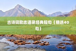 惊羡人间的治愈系情感文案高清（通用8篇）