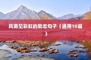 创业中的励志的句子（精选50句）