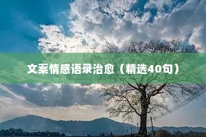 正能量的经典语录情感（通用40句）