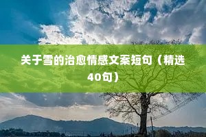 写给前妻的情感夜话短句文案（通用8篇）