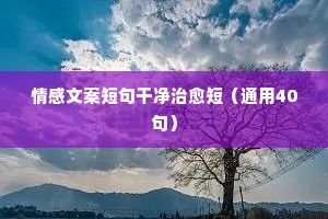 八方支持的解释