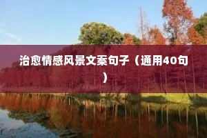 情感文案吸引人的句子（精选40句）