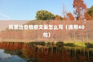 情感文案失望（通用8篇）