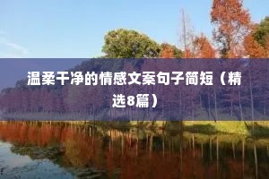 因果情感文案（精选8篇）