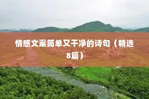 抖音情感语录文案哪里找（精选8篇）