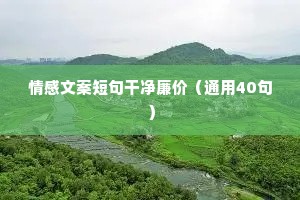 情感感恩文案（通用40句）