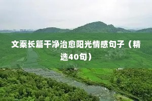 情感表白语录大全（精选40句）