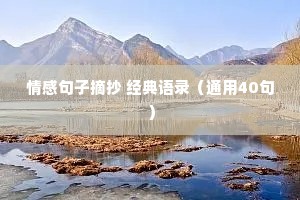 情感语录英语长篇（精选40句）