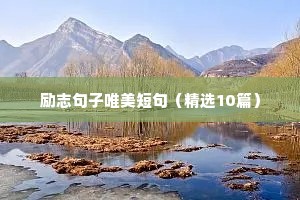 经典句子人生感悟励志语录（通用8篇）