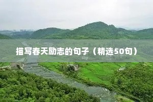 关于学历的励志语录（通用8篇）