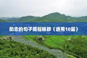 人生经历风雨励志语录100句（精选40句）