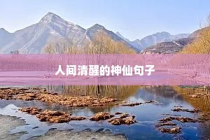 唯美励志的句子（精选10篇）