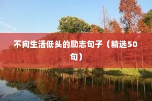 关于幼师的励志的句子（通用10篇）