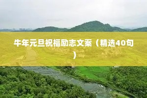 闺蜜弹钢琴曲治愈系情感语录（通用8篇）