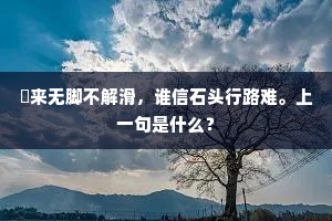 鸟道泷湫悉行后，岂将翻译负心期。全诗是什么？