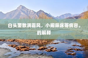 异时报德但修身，那用张良袖中铁。下一句是什么？