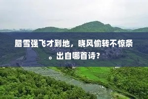 骑马不前真有恨，留衣过腊岂无心。下一句是什么？