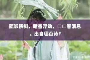 大法小廉成语的解释