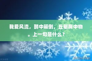 堂堂国士洪夫子，刻烛从渠心自降。的解释