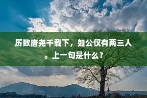 大腹便便成语的拼音