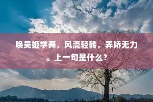 已遣侈心倾虏帐，行收泪眼拜枫宸。的释义