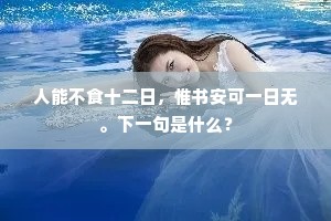 由来那敢议轻肥，散发行歌自采薇。上一句是什么？