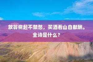 孙吴纪德旧刊碑，草没蟠螭与伏龟。下一句是什么？