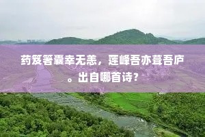 窣堵凝然镇梵宫，举头层级在云中。下一句是什么？