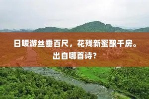 已知羽驾朝金阙，不用烧兰望玉京。出自哪首诗？