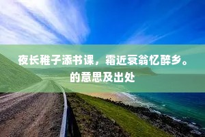 得意忘言成语的释义