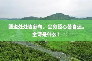 何事商於泪如雨，小儒偏受陆家恩。出自哪首诗？