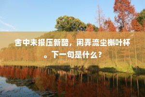 圣皇自在长生殿，不向蓬莱王母家。全诗是什么？