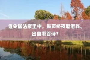 图中含景随残照，琴里流泉寄逝波。的意思及出处