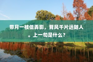 南北通欢永无事，谢恩归去老陪臣。上一句是什么？