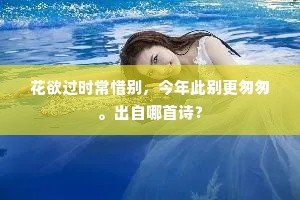 伶俜乖拙两何如，昼泥琴声夜泥书。上一句是什么？