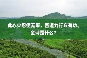 归耕地肺绝尘喧，匣里青萍未报恩。的意思及出处