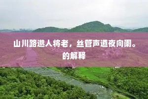 吊民伐罪成语的释义