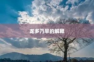 还悲独咏东园里，老作南州刺史看。的意思及出处