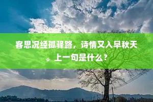 贪程只为看庐阜，及到停舟恨颇浓。全诗是什么？