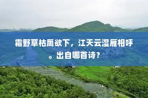 九天星象帘前见，六代城池直下观。出自哪首诗？