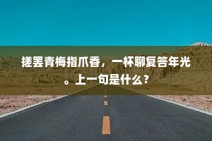 老夫多病无风味，只向尊前咏旧诗。的解释