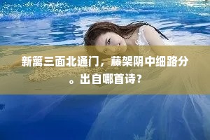 眼空百步穿杨叶，巧弋双雕落阵云。出自哪首诗？