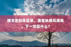 前辈不须轻后辈，靖安今日在衡州。的释义