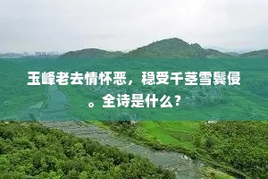 夜色晨光相荡沃，积翠流霞满坑谷。全诗是什么？