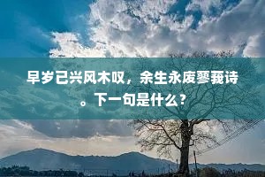 武皇弓剑埋何处，泣问上阳宫里人。下一句是什么？