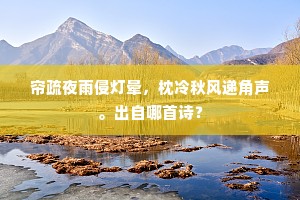 无叶无枝不见空，连天扑地径才通。的解释