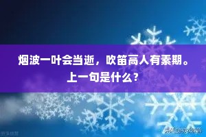 音声嘈嘈满太虚，旨饮食兮照庖厨。上一句是什么？