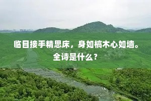 已为平子归休计，五老岩前必共闻。出自哪首诗？