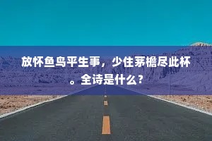 无力不任为走役，有文安敢滞清平。的释义