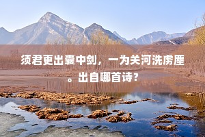 主人自是济川手，坐令涉险如安流。全诗是什么？